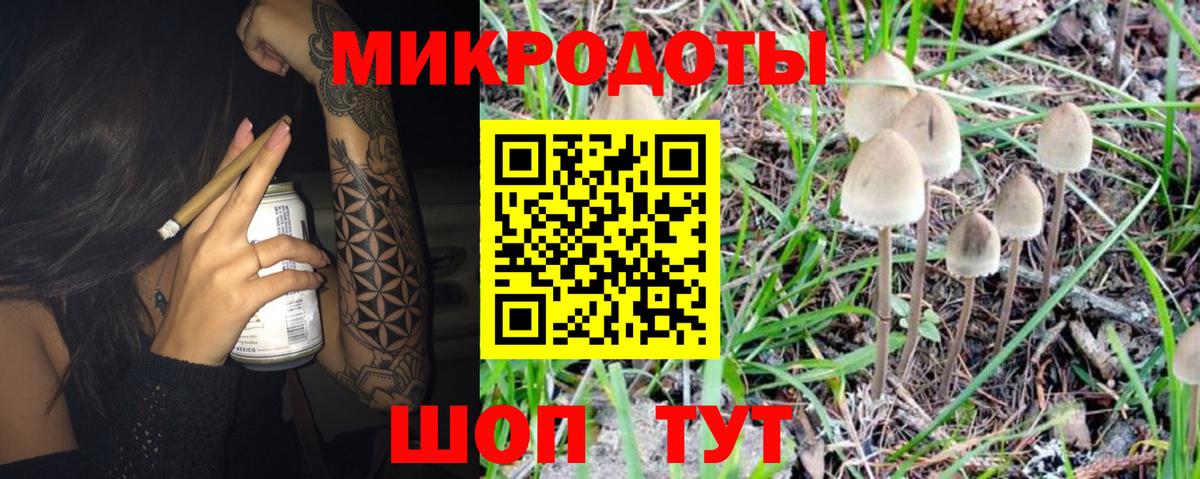 Димитровград  Галлюциногенные грибы MAGIC MUSHROOMS  Вход с VPN 