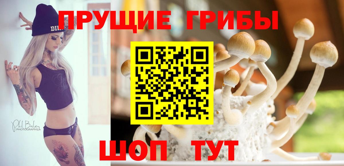 Галлюциногенные грибы прущие грибы Димитровград